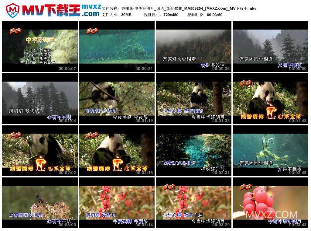 钟丽燕-中华好明月_国语_流行歌曲_MA509254